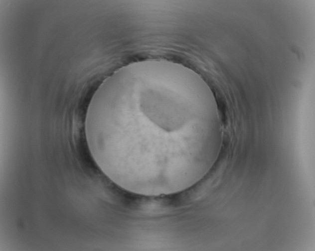 X0000113910235200910151424