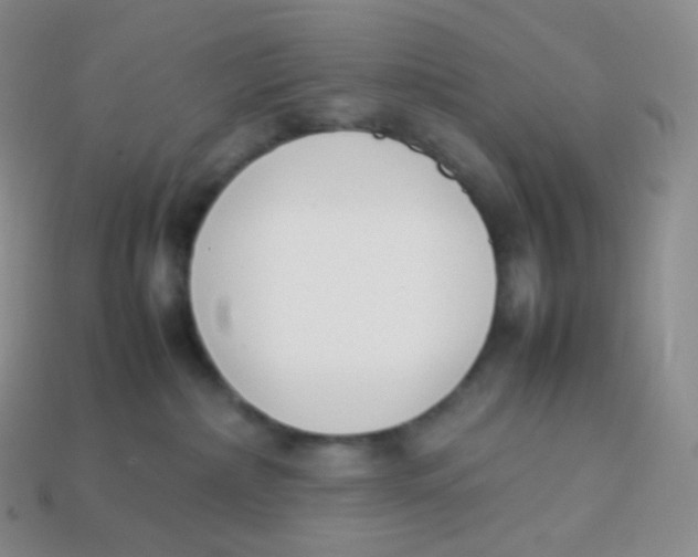 X0000113910236200910151424