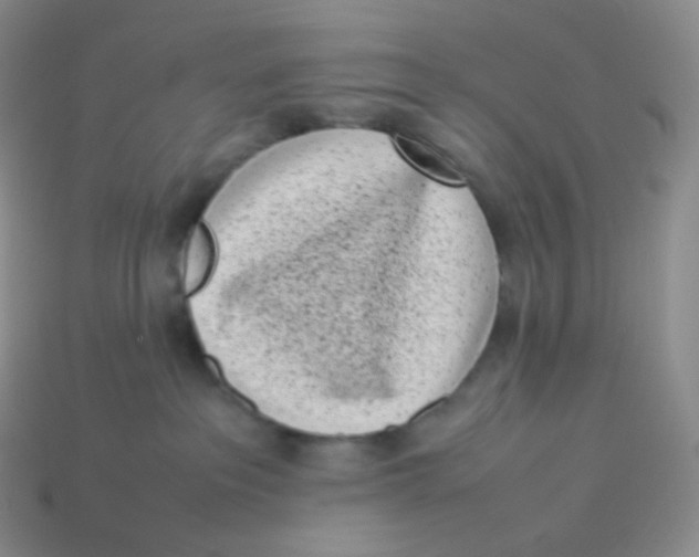 X0000113910237200910151424