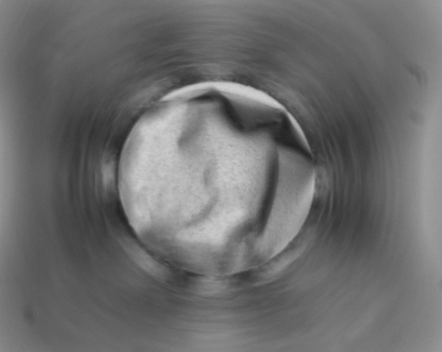 X0000113910238200910151424