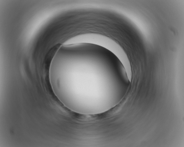 X0000113910239200910151424