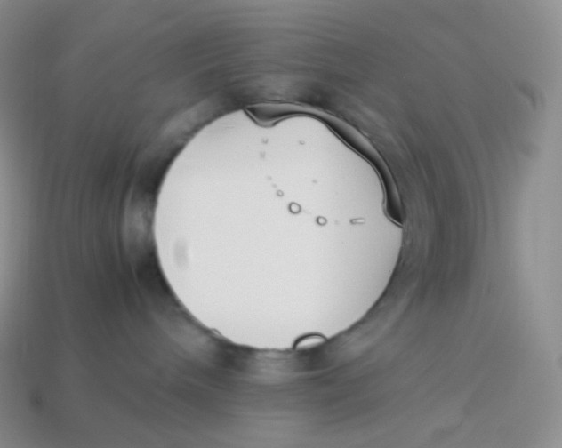 X0000113910240200910151424