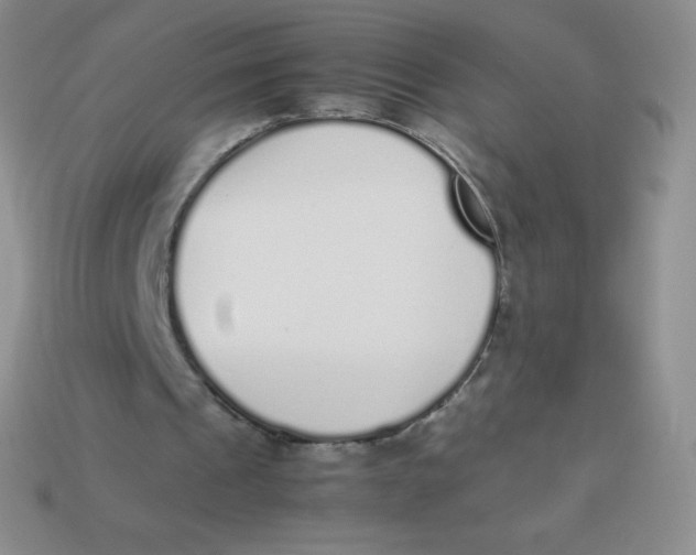 X0000113910241200910151424