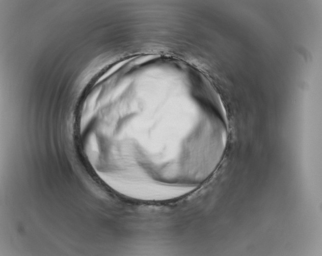 X0000113910242200910151424