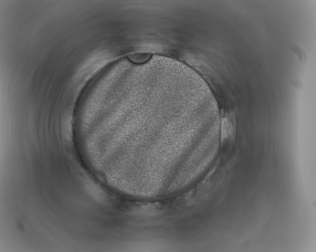 X0000113910243200910151424