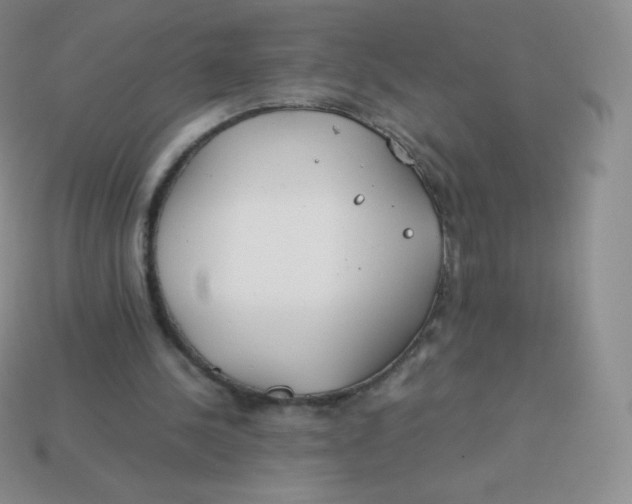 X0000113910244200910151424