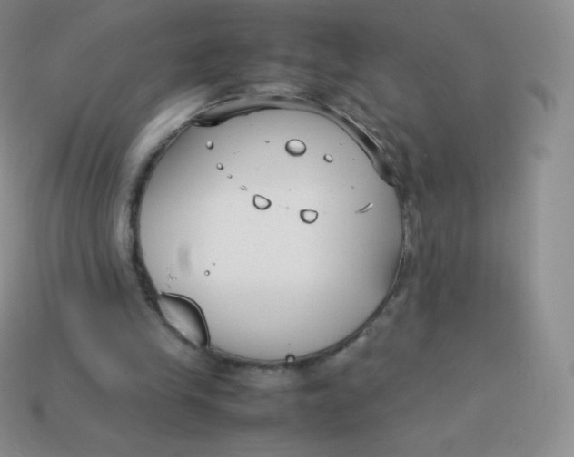 X0000113910245200910151424