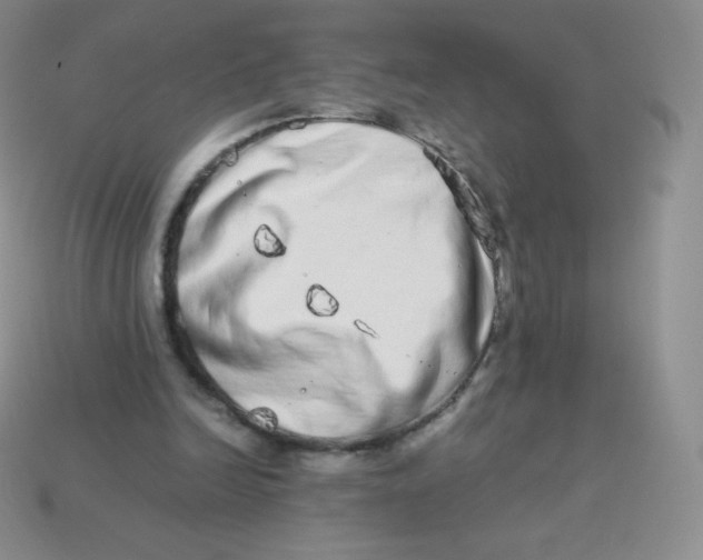 X0000113910246200910151424