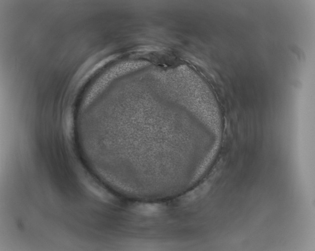 X0000113910247200910151424