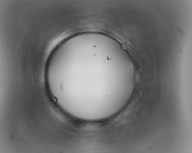 X0000113910248200910151424