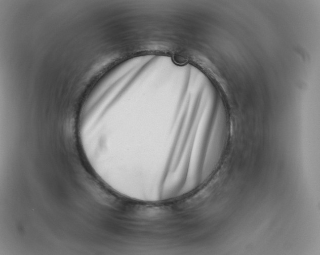 X0000113910249200910151424