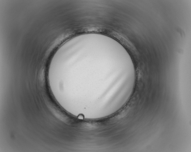 X0000113910250200910151424