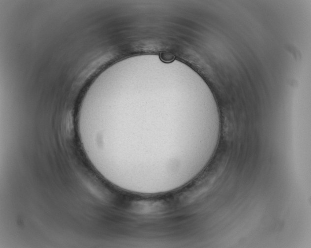 X0000113910251200910151424