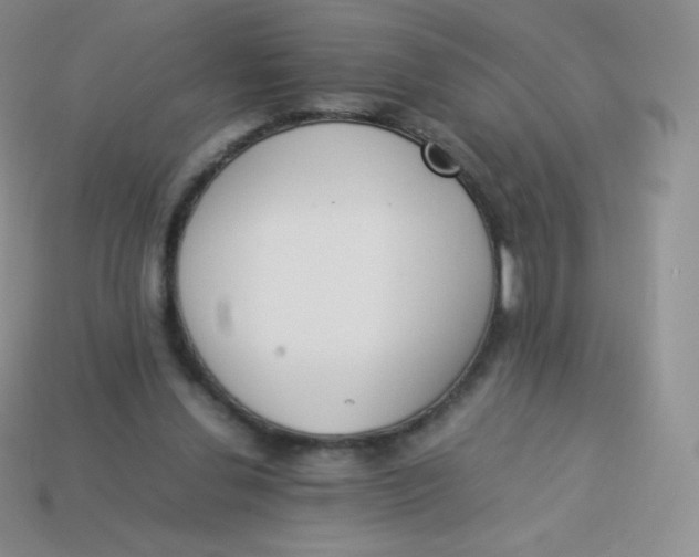 X0000113910252200910151424