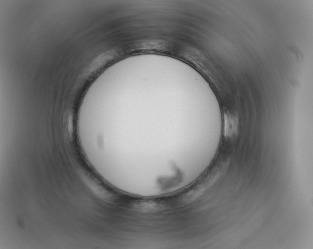 X0000113910253200910151424