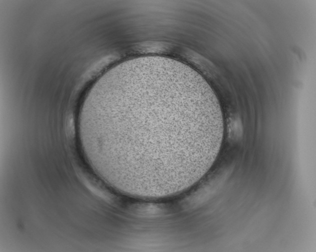 X0000113910254200910151424