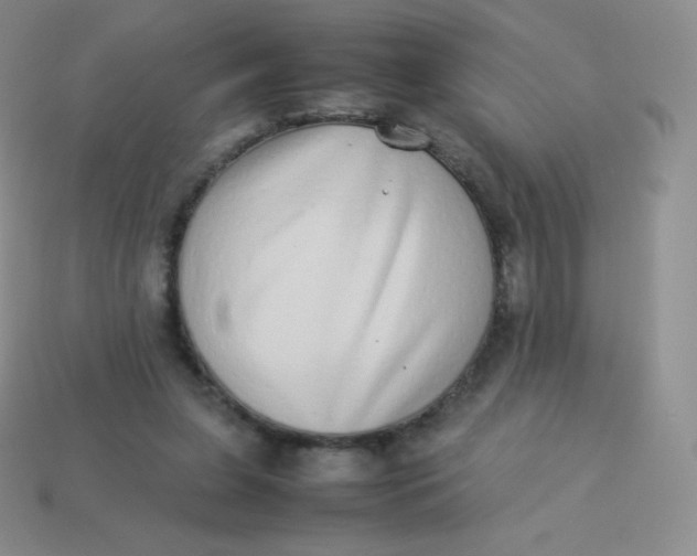 X0000113910255200910151424