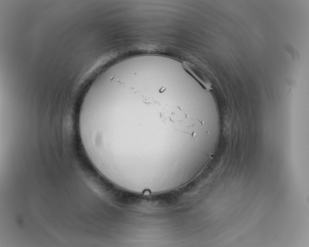 X0000113910256200910151424