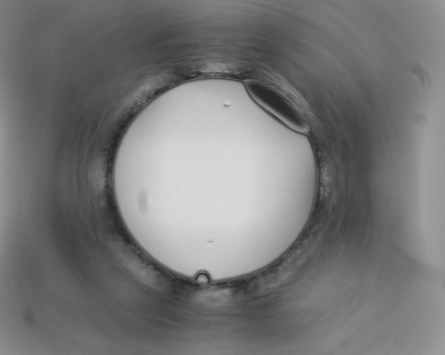 X0000113910257200910151424