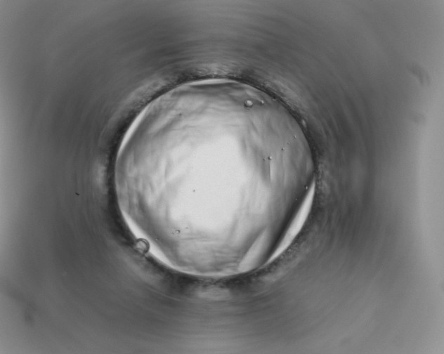 X0000113910258200910151424