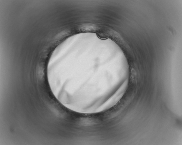 X0000113910259200910151424