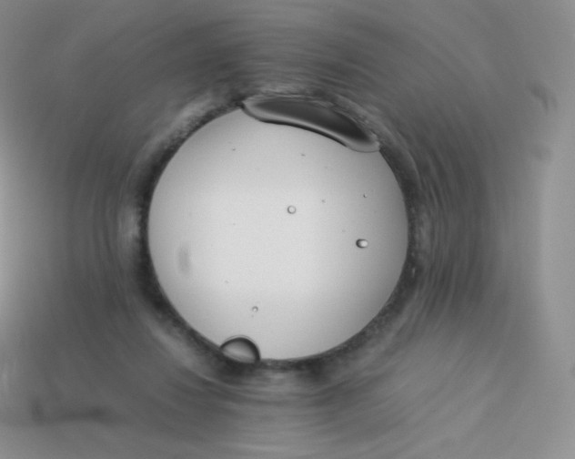 X0000113910260200910151424