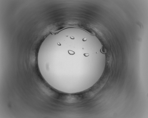 X0000113910261200910151424