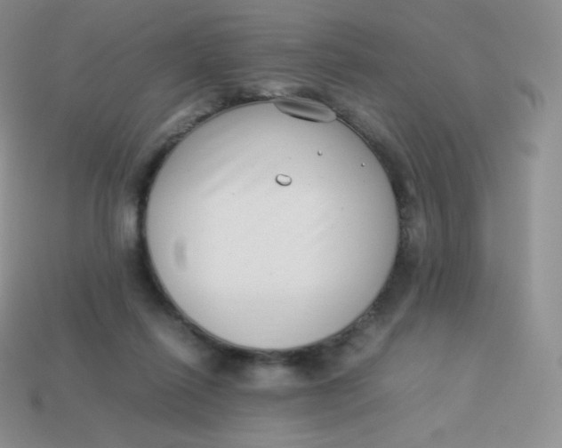 X0000113910262200910151424