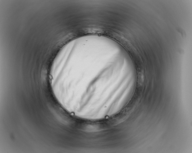 X0000113910263200910151424