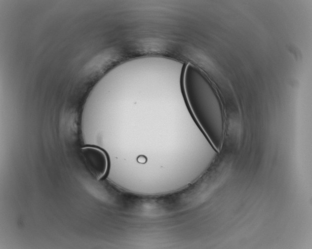 X0000113910264200910151424