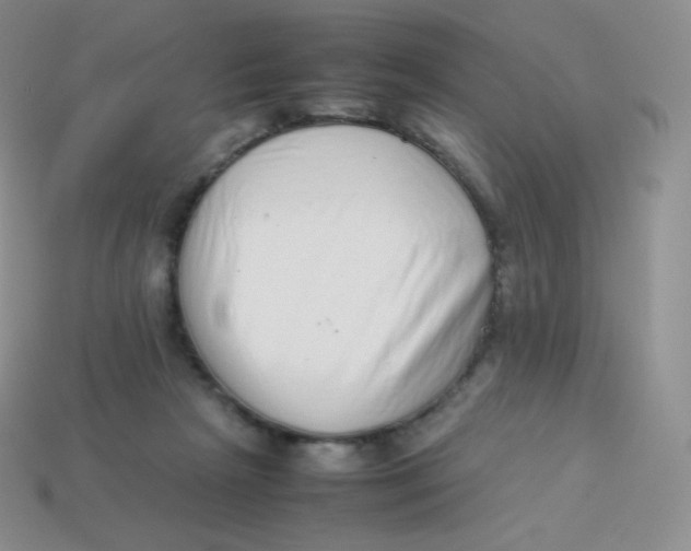 X0000113910265200910151424