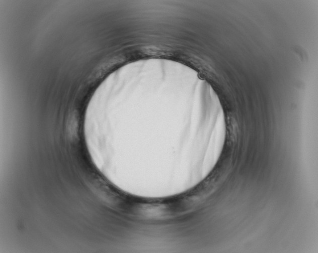 X0000113910266200910151424