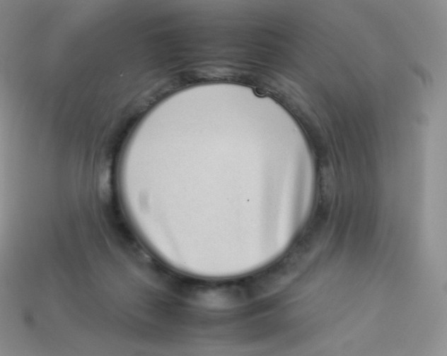 X0000113910267200910151424