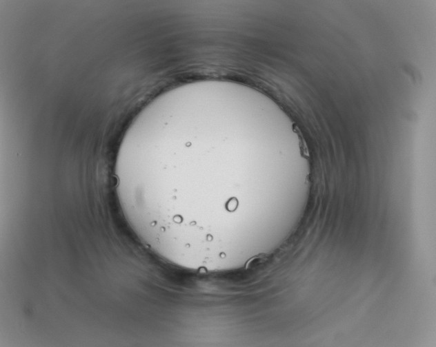 X0000113910268200910151424