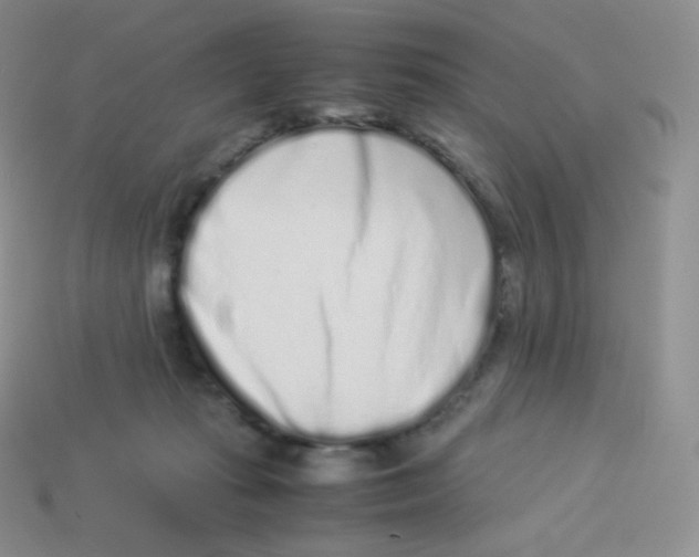 X0000113910269200910151424