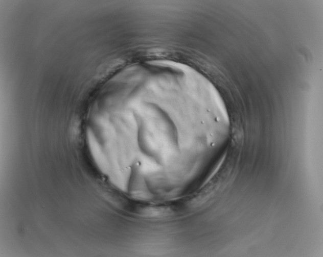 X0000113910270200910151424