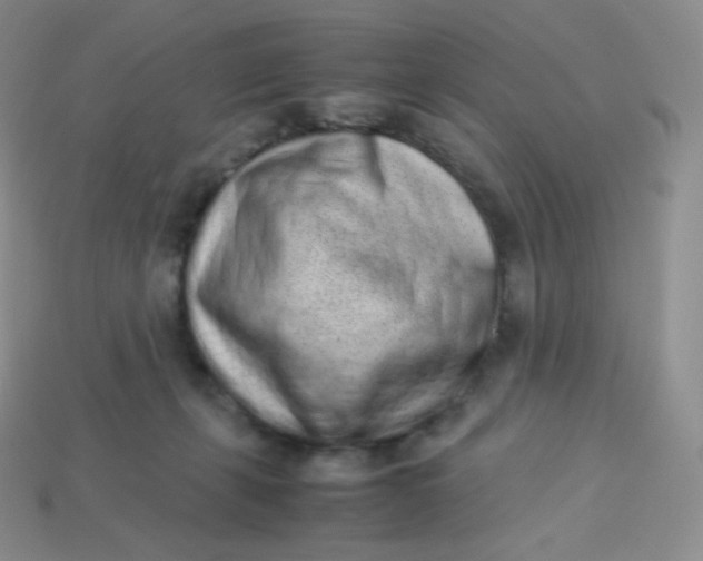 X0000113910271200910151424