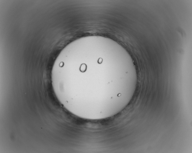 X0000113910272200910151424