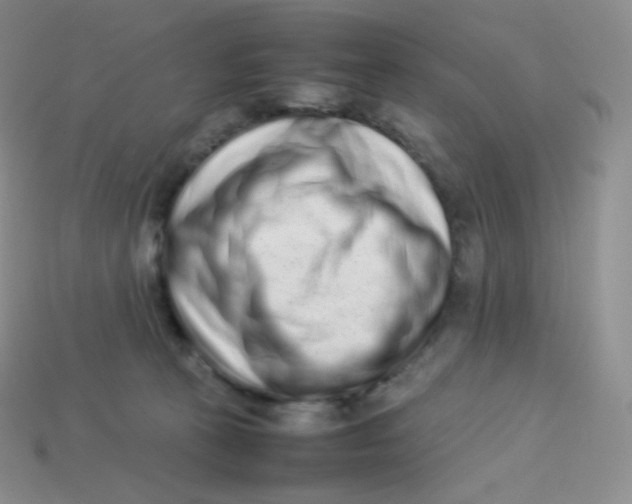 X0000113910273200910151424