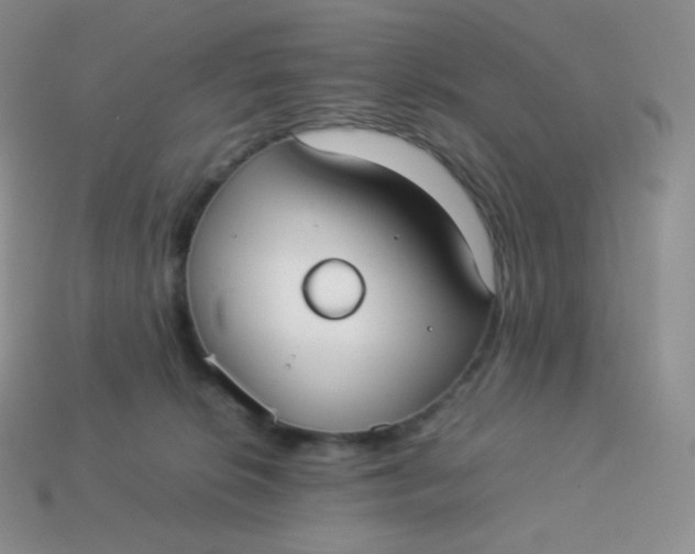 X0000113910276200910151424