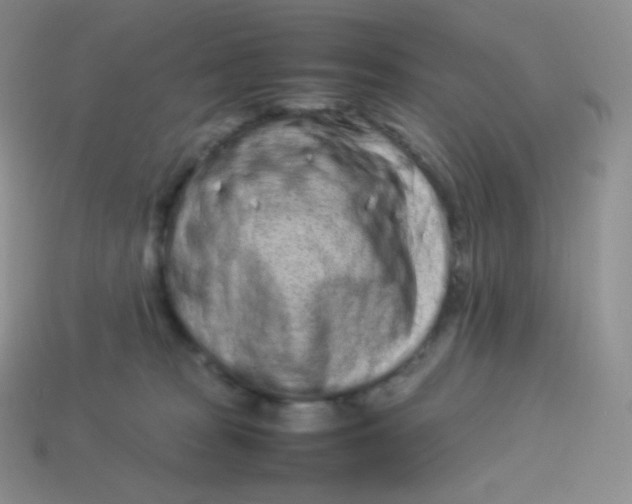 X0000113910277200910151424