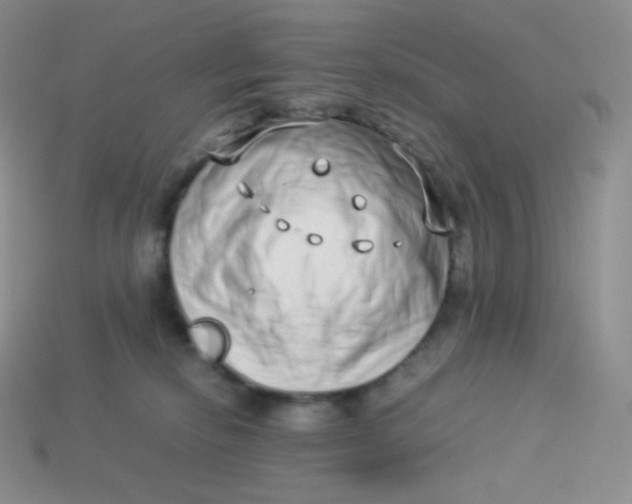 X0000113910278200910151424