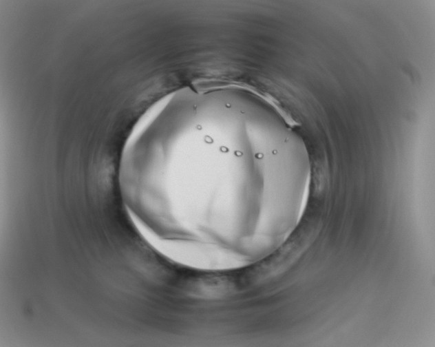 X0000113910279200910151424