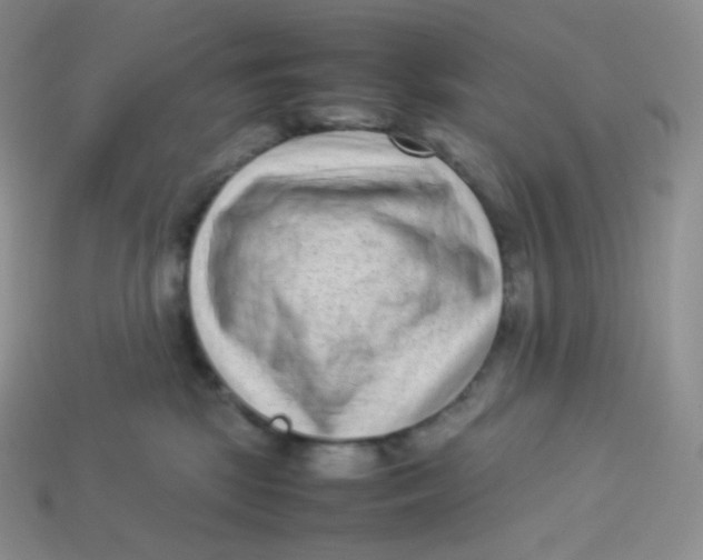 X0000113910281200910151424