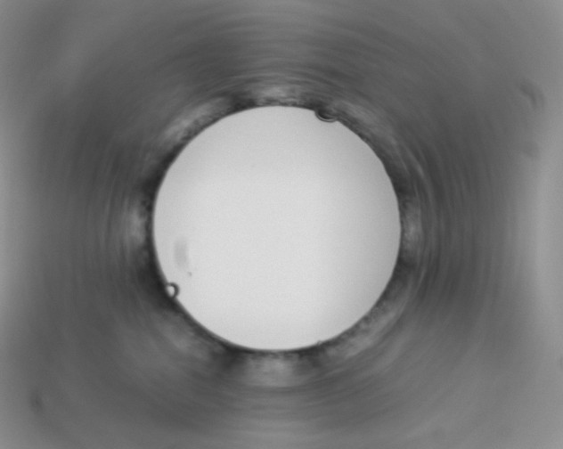 X0000113910282200910151424