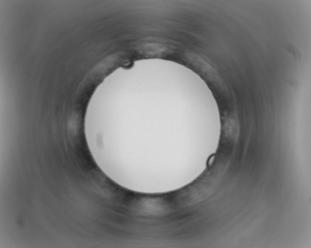 X0000113910283200910151424