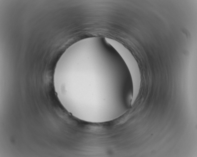 X0000113910284200910151424