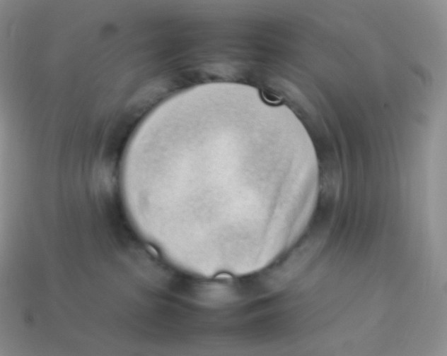 X0000113910285200910151424