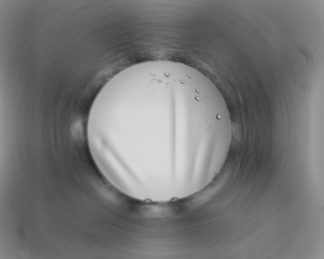 X0000113910286200910151424