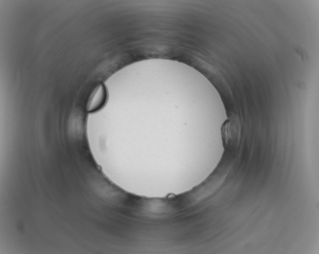 X0000113910287200910151424